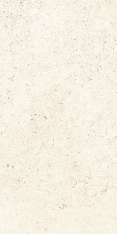 Lightstones.03 Shell Grip 24 x 48